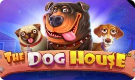 The Dog House by Pragmatic Play at Aztec Paradise